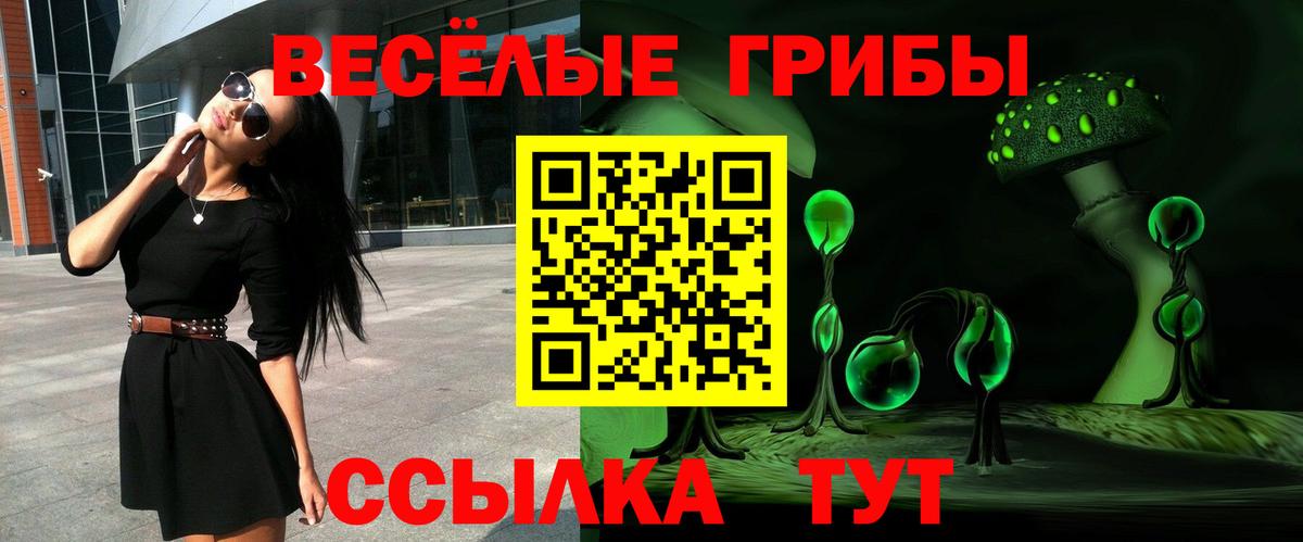 Псилоцибиновые грибы MAGIC MUSHROOMS  Вход с VPN  Кузнецк  как найти закладки  Галлюциногенные грибы Cubensis 