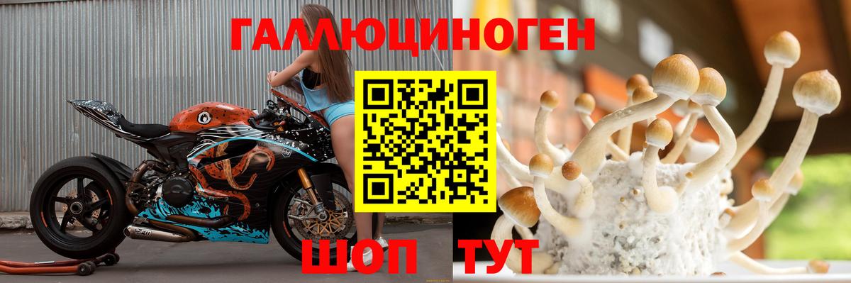 Галлюциногенные грибы мухоморы Кузнецк